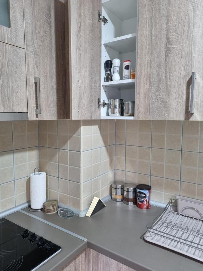 Apartman Ristanovic Banja Koviljača 외부 사진